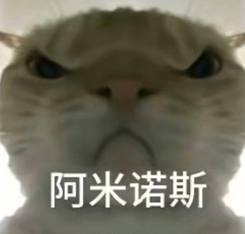 的比赛中